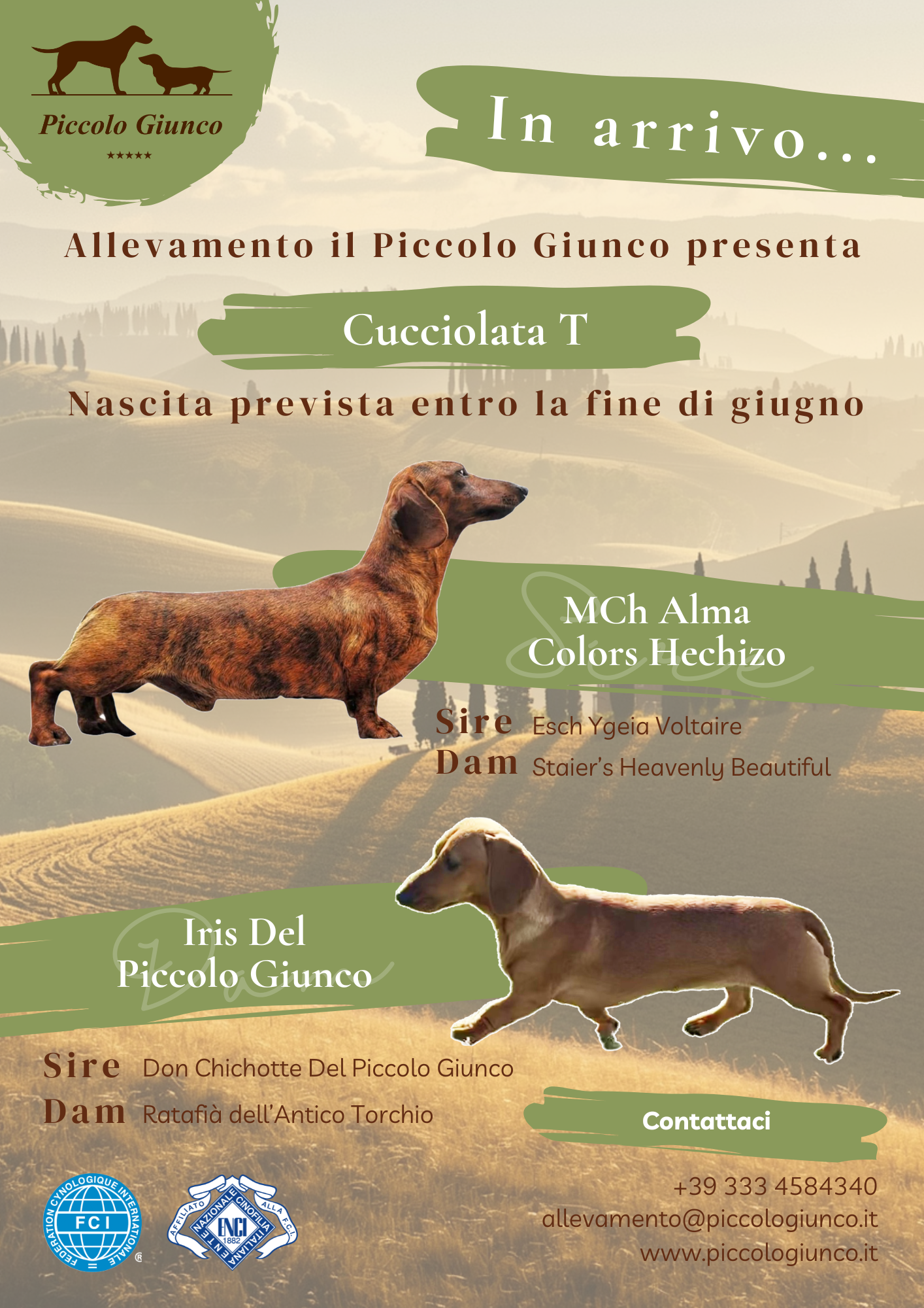 Il Piccolo Giunco